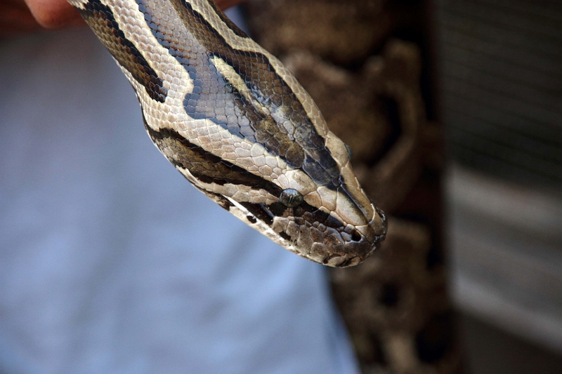 16_cai_be_fabrication artisanale_022.jpg